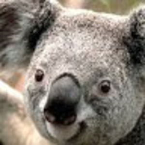 Meet your Posher, Kennedy